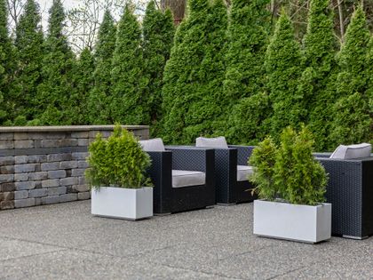 2453-leclair-dr-mls-5 at 2453 Leclair Drive, Central Coquitlam, Coquitlam