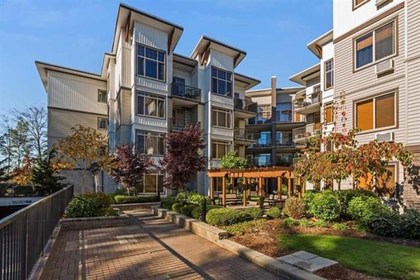 11887-burnett-street-east-central-maple-ridge-01 at 219 - 11887 Burnett Street, East Central, Maple Ridge