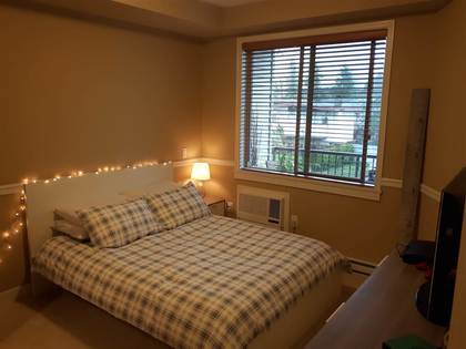 11887-burnett-street-east-central-maple-ridge-10 at 219 - 11887 Burnett Street, East Central, Maple Ridge