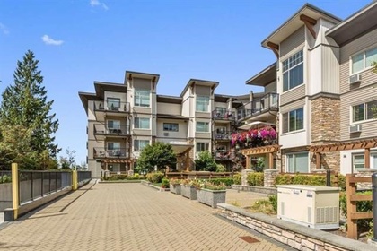 11887-burnett-street-east-central-maple-ridge-18 at 219 - 11887 Burnett Street, East Central, Maple Ridge