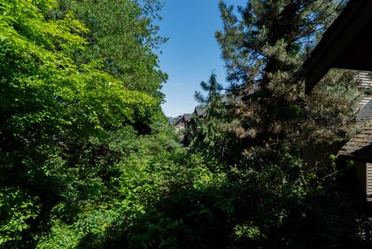 dsc08487 at 9 - 22206 124 Avenue, West Central, Maple Ridge