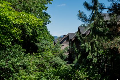 dsc08488 at 9 - 22206 124 Avenue, West Central, Maple Ridge