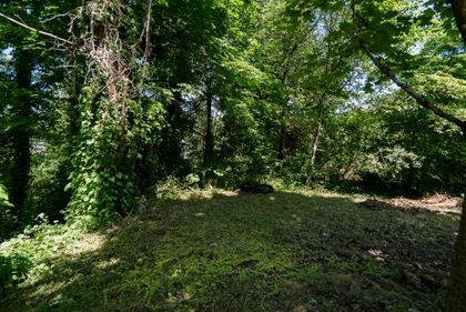 dsc08545-hdr at 9 - 22206 124 Avenue, West Central, Maple Ridge