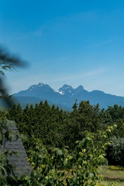 dsc08585 at 9 - 22206 124 Avenue, West Central, Maple Ridge