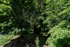 dsc08485 at 9 - 22206 124 Avenue, West Central, Maple Ridge