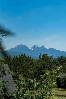 dsc08585 at 9 - 22206 124 Avenue, West Central, Maple Ridge