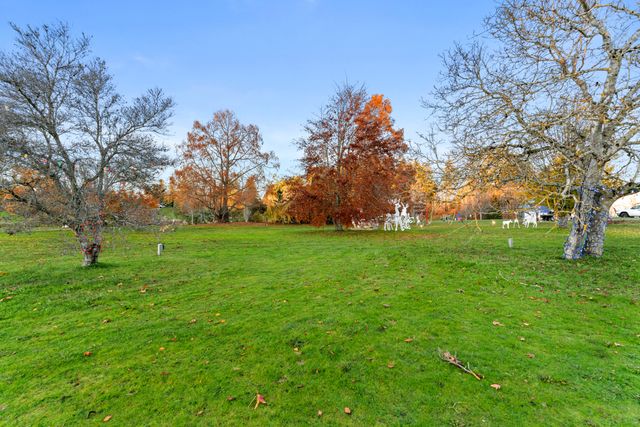 5300-1-ave-delta-03 at 5300 1 Avenue, Pebble Hill, Tsawwassen