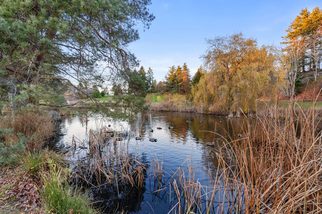 5300-1-ave-delta-06 at 5300 1 Avenue, Pebble Hill, Tsawwassen