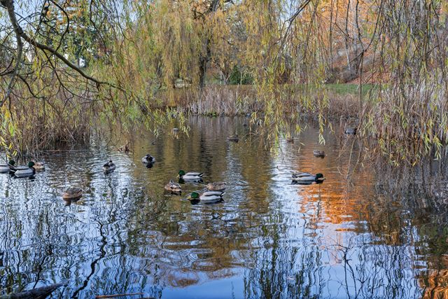 5300-1-ave-delta-07 at 5300 1 Avenue, Pebble Hill, Tsawwassen