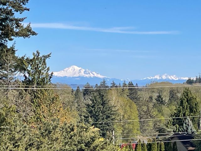 img_7063 at 211 Morningside Drive, Pebble Hill, Tsawwassen