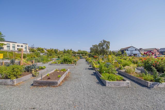 53 at 26 - 6340 Market Avenue, Boundary Beach, Tsawwassen