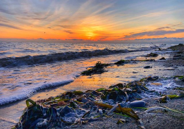 6429-market-avenue-boundary-beach-tsawwassen-40 at 19 - 6429 Market Avenue, Boundary Beach, Tsawwassen
