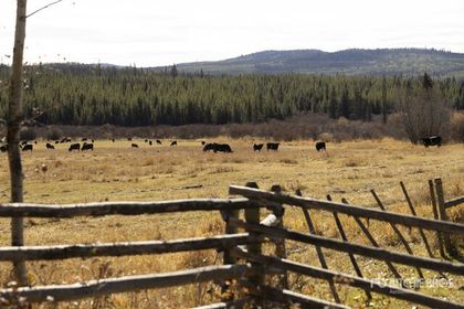  at  5670 Eagan Bonaparte Road, Bridge Lake/Sheridan Lake, 100 Mile House