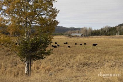  at  5670 Eagan Bonaparte Road, Bridge Lake/Sheridan Lake, 100 Mile House