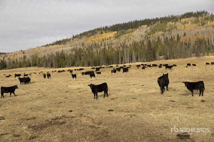  at  5670 Eagan Bonaparte Road, Bridge Lake/Sheridan Lake, 100 Mile House