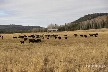  at  5670 Eagan Bonaparte Road, Bridge Lake/Sheridan Lake, 100 Mile House