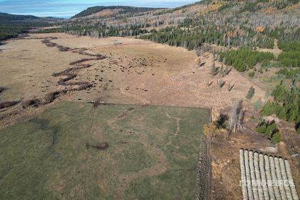  at  5670 Eagan Bonaparte Road, Bridge Lake/Sheridan Lake, 100 Mile House