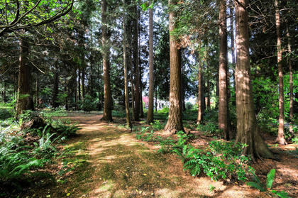 White Rock Real Estate at 13419  Road, Elgin Chantrell, South Surrey White Rock White Rock Real Estate at 13419  Road, Elgin Chantrell, South Surrey White Rock