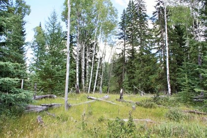 Green Lake Real Estate at 6468 Green Lake Road, Lone Butte/Green Lake, Cariboo Green Lake Real Estate at 6468 Green Lake Road, Lone Butte/Green Lake, Cariboo