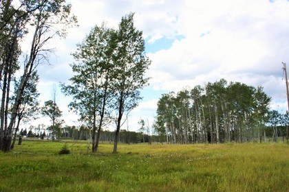 Green Lake Real Estate at 6468 Green Lake Road, Lone Butte/Green Lake, Cariboo Green Lake Real Estate at 6468 Green Lake Road, Lone Butte/Green Lake, Cariboo
