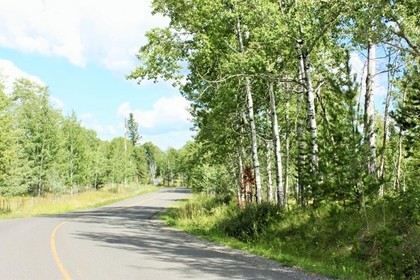 Green Lake Real Estate at 6468 Green Lake Road, Lone Butte/Green Lake, Cariboo Green Lake Real Estate at 6468 Green Lake Road, Lone Butte/Green Lake, Cariboo