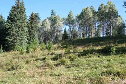 Bridge Lake Real Estate at 8353 Rainbow Country Road, Bridge Lake/Sheridan Lake, Cariboo
