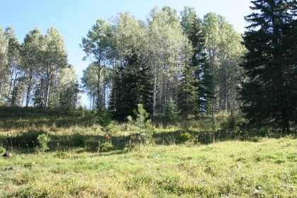 Bridge Lake Real Estate at 8353 Rainbow Country Road, Bridge Lake/Sheridan Lake, Cariboo