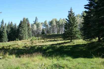 Bridge Lake Real Estate at 8353 Rainbow Country Road, Bridge Lake/Sheridan Lake, Cariboo