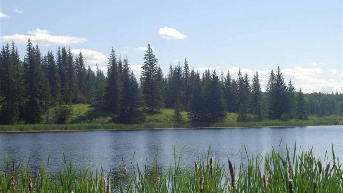 Lot 5 Kingfisher Road, Bridge Lake/Sheridan Lake, Cariboo 