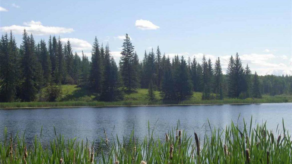 Lot 6 Kingfisher Road, Bridge Lake/Sheridan Lake, Cariboo 