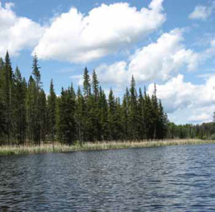 Sheridan Lake Real Estate at Lot 6 Kingfisher Road, Bridge Lake/Sheridan Lake, Cariboo Sheridan Lake Real Estate at Lot 6 Kingfisher Road, Bridge Lake/Sheridan Lake, Cariboo