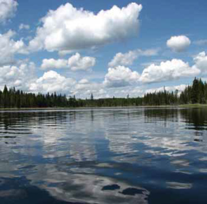 Sheridan Lake Real Estate at Lot 6 Kingfisher Road, Bridge Lake/Sheridan Lake, Cariboo