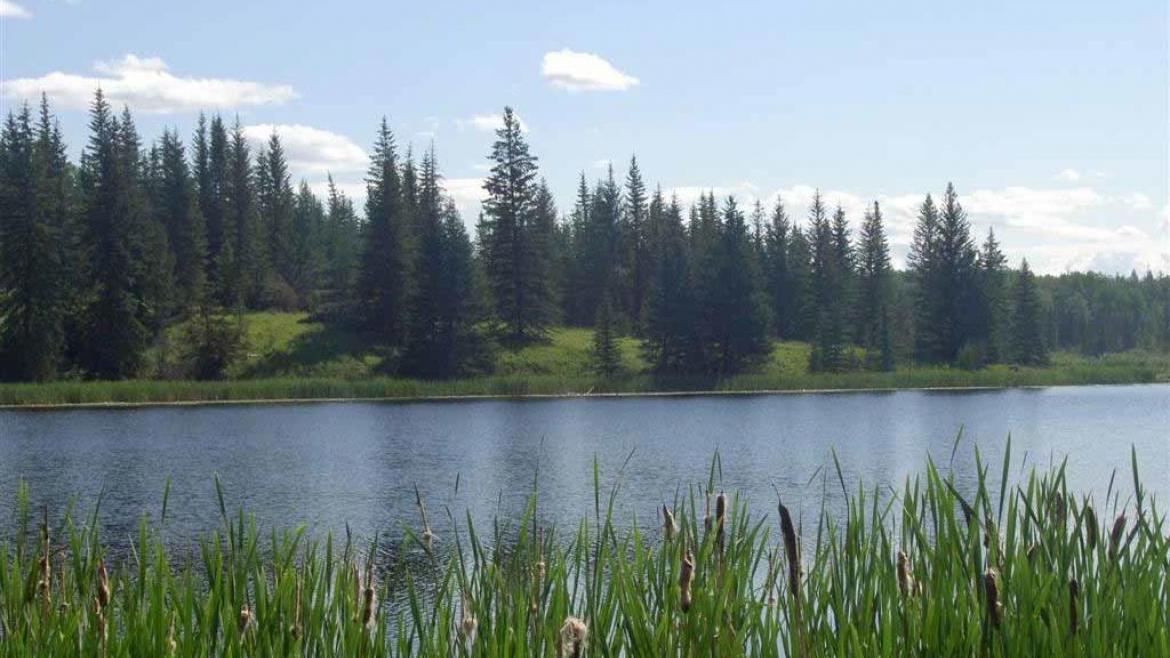 Lot 7 Kingfisher Road, Bridge Lake/Sheridan Lake, Cariboo 