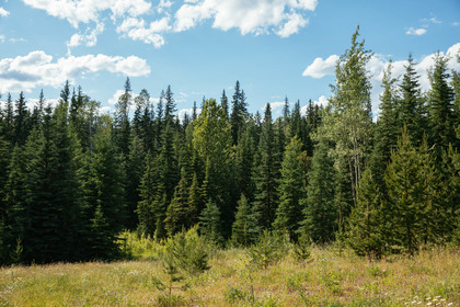 Eagan Lake Real Estate at 9153 Eagan Crescent, Bridge Lake/Sheridan Lake, Cariboo Eagan Lake Real Estate at 9153 Eagan Crescent, Bridge Lake/Sheridan Lake, Cariboo