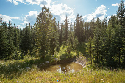 Eagan Lake Real Estate at 9153 Eagan Crescent, Bridge Lake/Sheridan Lake, Cariboo Eagan Lake Real Estate at 9153 Eagan Crescent, Bridge Lake/Sheridan Lake, Cariboo