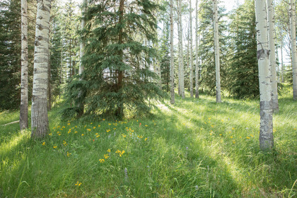 Eagan Lake Real Estate at 9153 Eagan Crescent, Bridge Lake/Sheridan Lake, Cariboo Eagan Lake Real Estate at 9153 Eagan Crescent, Bridge Lake/Sheridan Lake, Cariboo