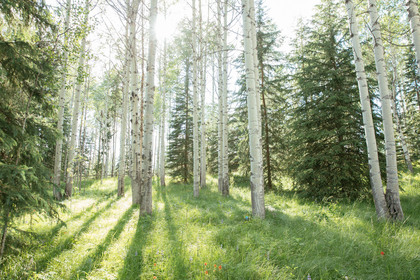 Eagan Lake Real Estate at 9153 Eagan Crescent, Bridge Lake/Sheridan Lake, Cariboo Eagan Lake Real Estate at 9153 Eagan Crescent, Bridge Lake/Sheridan Lake, Cariboo