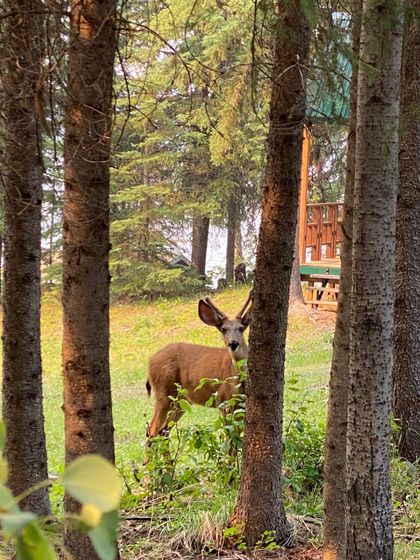 image003 at 7127 Lincoln Drive, Bridge Lake/Sheridan Lake, 100 Mile House image003 at 7127 Lincoln Drive, Bridge Lake/Sheridan Lake, 100 Mile House