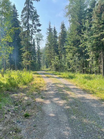 img-1667 at 7220 Kingfisher Road, Bridge Lake/Sheridan Lake, 100 Mile House img-1667 at 7220 Kingfisher Road, Bridge Lake/Sheridan Lake, 100 Mile House