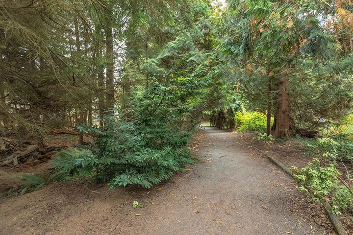 2623-fromme-road-lynn-valley-north-vancouver-25 at 2623 Fromme Road, Lynn Valley, North Vancouver 2623-fromme-road-lynn-valley-north-vancouver-25 at 2623 Fromme Road, Lynn Valley, North Vancouver