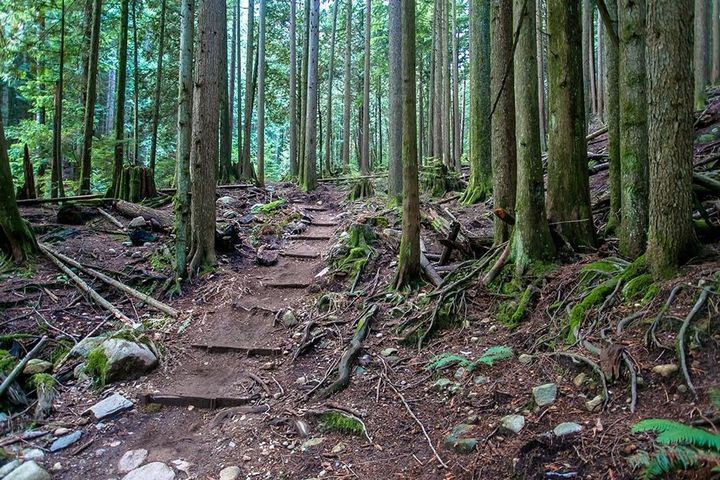 2623-fromme-road-lynn-valley-north-vancouver-27 at 2623 Fromme Road, Lynn Valley, North Vancouver 2623-fromme-road-lynn-valley-north-vancouver-27 at 2623 Fromme Road, Lynn Valley, North Vancouver