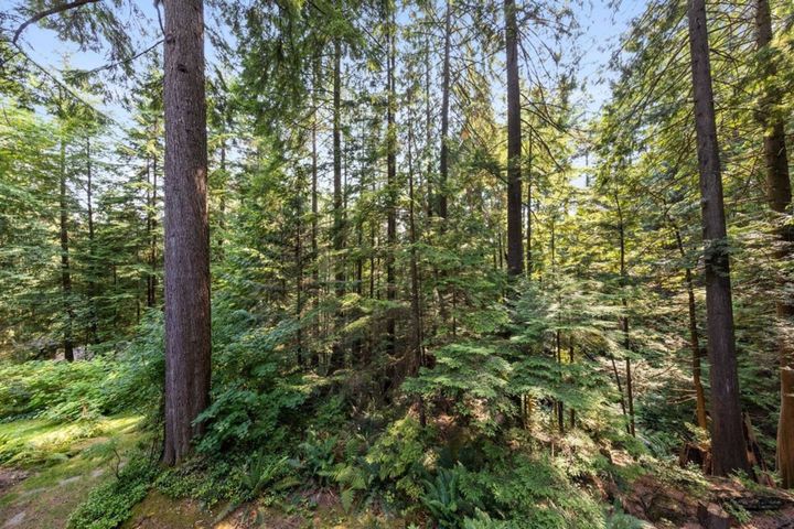 863-hendecourt-road-lynn-valley-north-vancouver-25-1 at 863 Hendecourt Road, Lynn Valley, North Vancouver 863-hendecourt-road-lynn-valley-north-vancouver-25-1 at 863 Hendecourt Road, Lynn Valley, North Vancouver