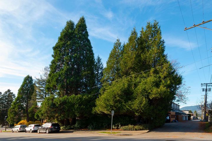 409-chesterfield-avenue-lower-lonsdale-north-vancouver-34 at 409 Chesterfield Avenue, Lower Lonsdale, North Vancouver 409-chesterfield-avenue-lower-lonsdale-north-vancouver-34 at 409 Chesterfield Avenue, Lower Lonsdale, North Vancouver