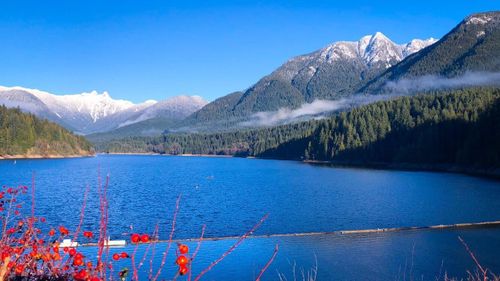 944-handsworth-road-canyon-heights-nv-north-vancouver-09 at 944 Handsworth Road, Canyon Heights NV, North Vancouver