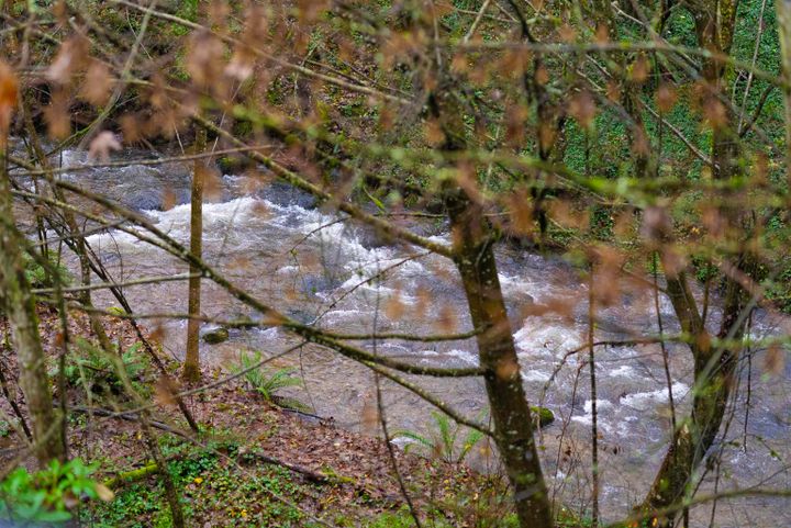 1385-draycott-road-lynn-valley-north-vancouver-15 at 307 - 1385 Draycott Road, Lynn Valley, North Vancouver