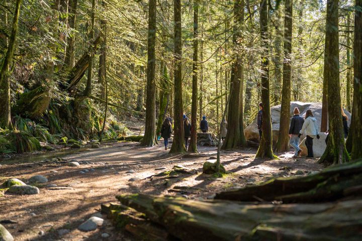 1385-draycott-road-lynn-valley-north-vancouver-32 at 307 - 1385 Draycott Road, Lynn Valley, North Vancouver