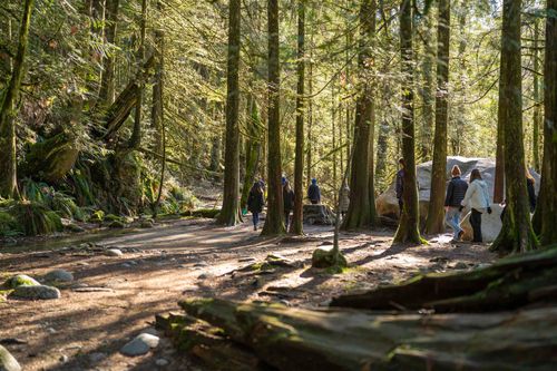 1385-draycott-road-lynn-valley-north-vancouver-36 at 307 - 1385 Draycott Road, Lynn Valley, North Vancouver