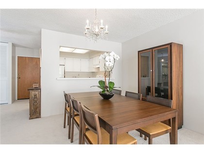 image-261254857-3.jpg at 103 - 2101  Ave, Quilchena, Vancouver West