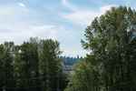 image-262080705-18.jpg at 415 - 733 W  Street, Hamilton, North Vancouver