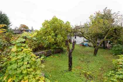 5.jpg at 1345  Avenue, Ambleside, West Vancouver 5.jpg at 1345  Avenue, Ambleside, West Vancouver